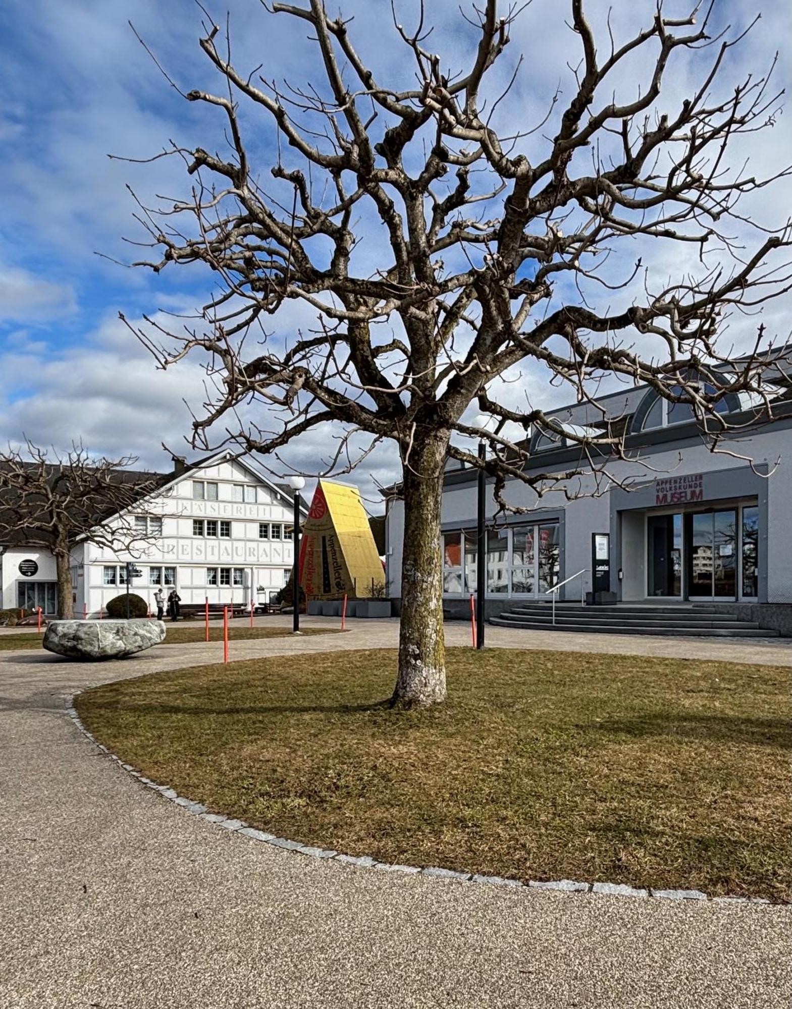 Appenzellerland, Ferienwohnung Mit Aussicht Haslen Exteriör bild