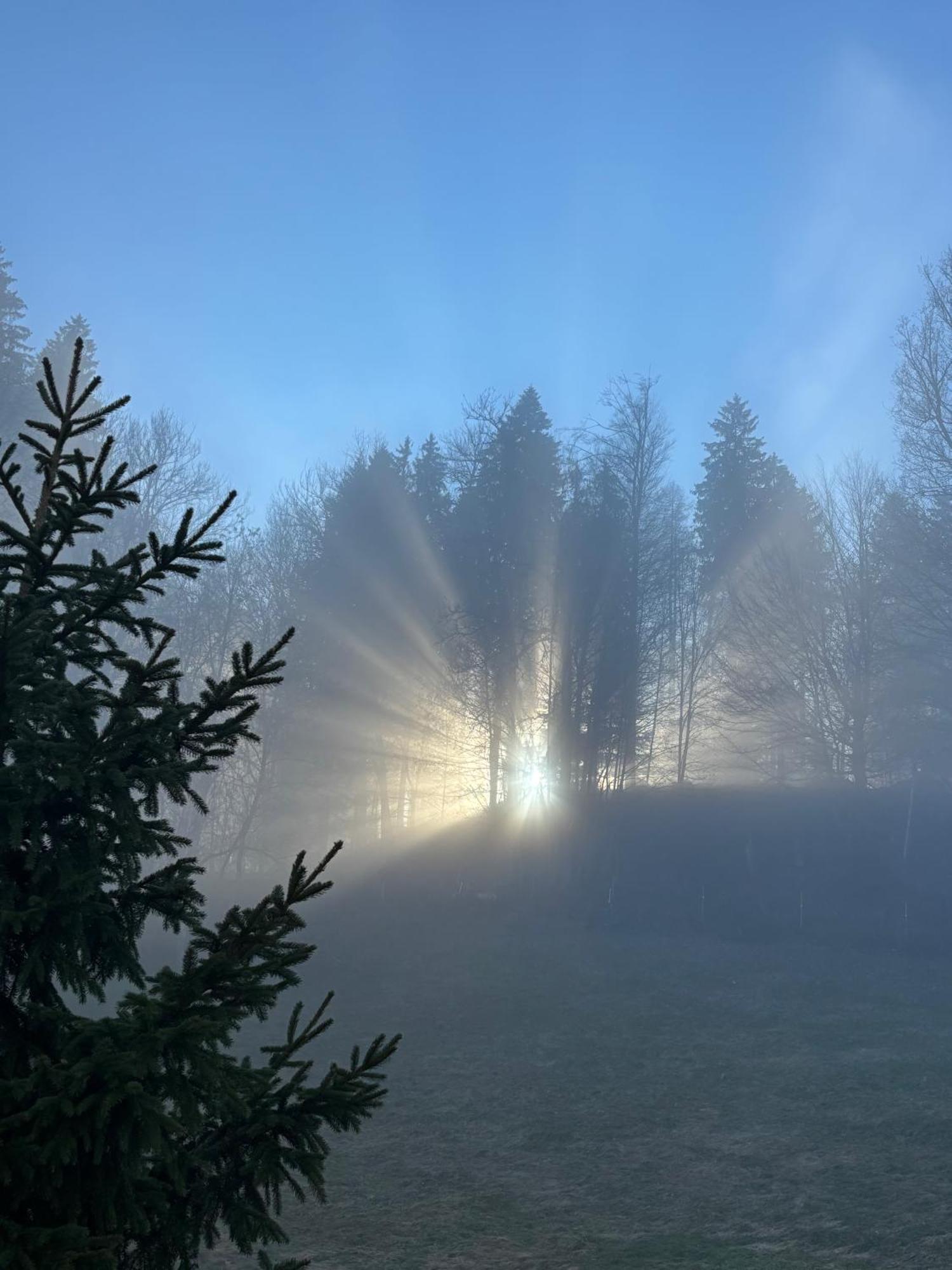 Appenzellerland, Ferienwohnung Mit Aussicht Haslen Exteriör bild
